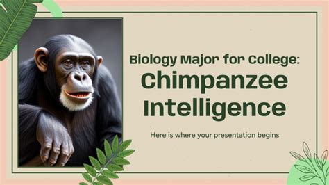 Biology Major for College: Chimpanzee Intelligence