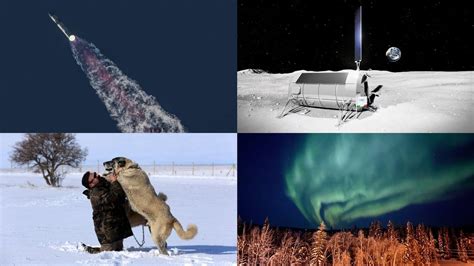 SpaceX Starship Version 2, Life Extension for Dogs, and More Top Science News of the Week ...