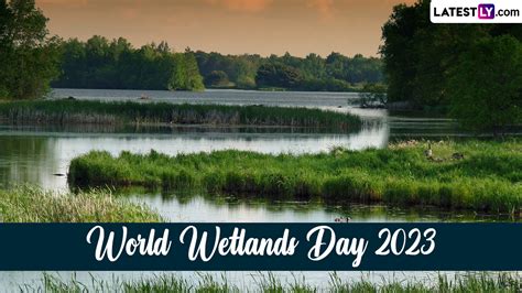 Festivals Events News World Wetlands Day Date Know Theme