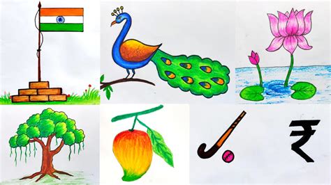 How To Draw National Symbols National Symbols Of India Drawing Easy