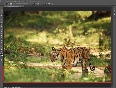 How to Blur Background in Photoshop Using Lens Blur