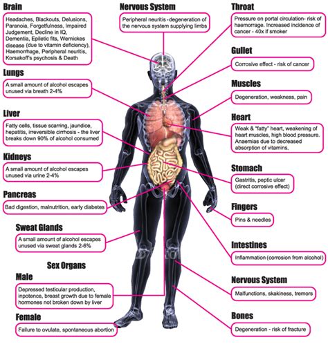 Alcohol And Effects On The Body Teenagers And Alcohol Consumption In