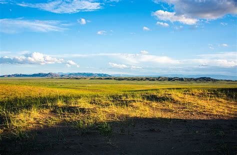 Steppe Meadow Pasture Free Photo On Pixabay