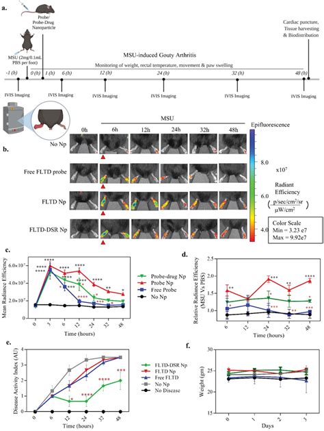 Reporter And Theranostic Nanoparticles Efficiently Track And Treat