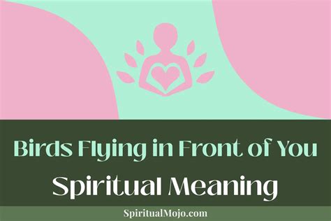 Birds Flying In Front Of You Spiritual Meaning Symbolism Explained