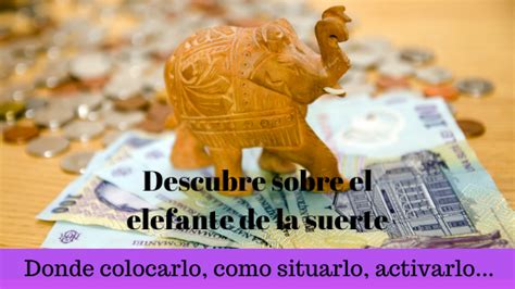 Elefante De La Suerte C Mo Colocarlo Donde Y Mucho M S