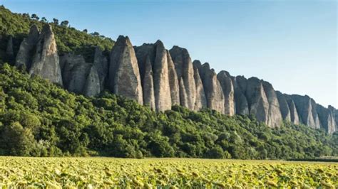 Cadence Questre Dans Les Oliviers Office De Tourisme Provence Alpes