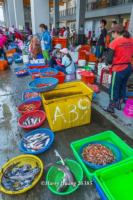 Harry 26385 大溪漁港 魚市場 市場 魚市 攤販 叫賣 海鮮 海產 漁獲 鯊魚 沙魚 漁業 海港 港口 漁 Flickr