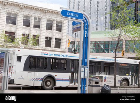 A Winnipeg Transit Bus Is See At Carlton Bus Station In Winnipeg Stock