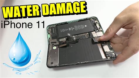 IPhone 11 Water Damage YouTube