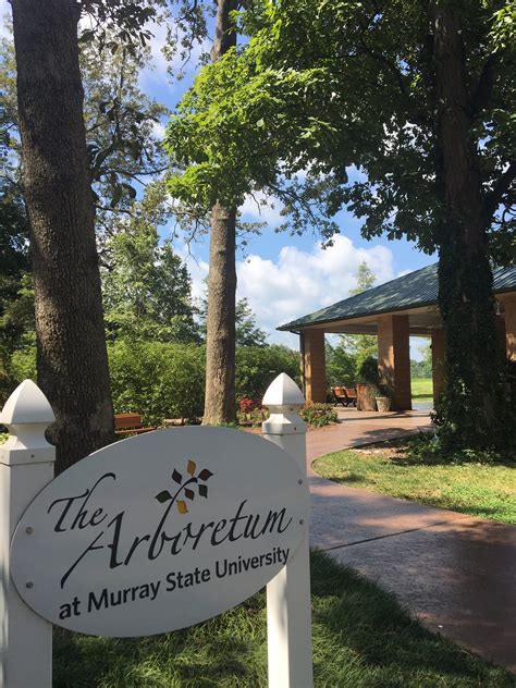 This guide helps you navigate the Churchill funeral home in Murray KY 26