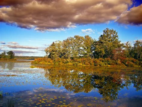 Fotos Gratis Paisaje Rbol Agua Naturaleza Pantano Desierto