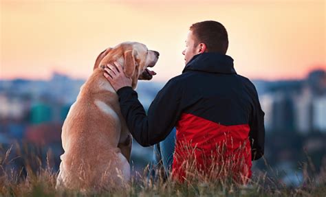 社交的な人が多い？犬好きな人にありがちな性格と特徴｜dime アットダイム