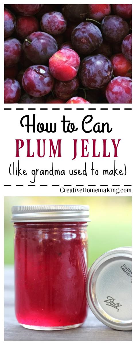 Sand Plum Jelly Recipe