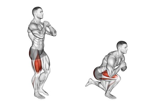 7 Best Single Leg Squat Variations (with Pictures!) - Inspire US