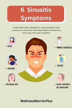 6 Sinus Symptoms you Should Know in 2024 | Sinusitis, Remedy for sinus congestion, Sinus ...