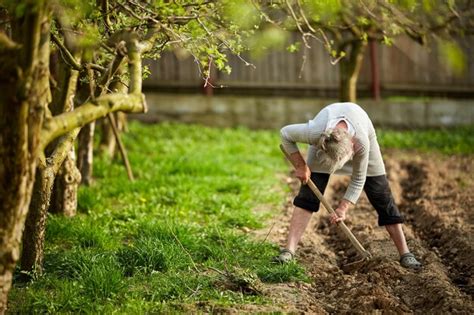 Anciana Agricultora Plantando Papas En Su Jard N Foto Premium