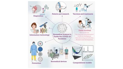 Molecules Free Full Text Biomedical Science To Tackle The Covid 19