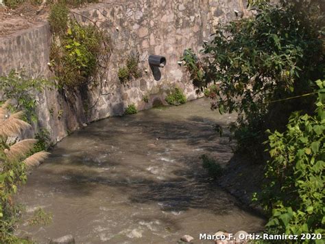 Recorriendo Los Suelos El Agua Los árboles Y La Biodiversidad Del