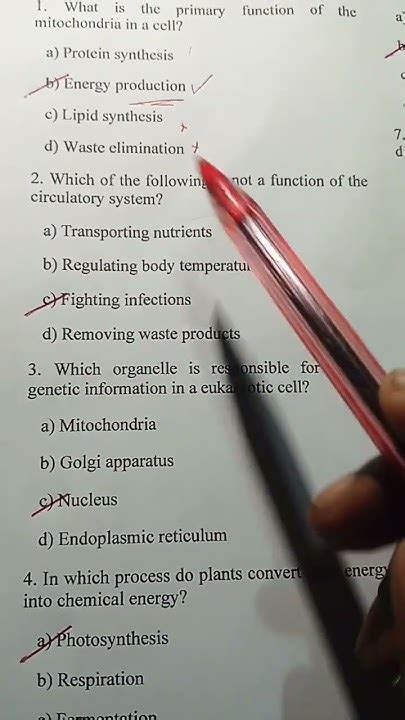 Igcse Biology Multiple Choice Questions Quizlet Youtube