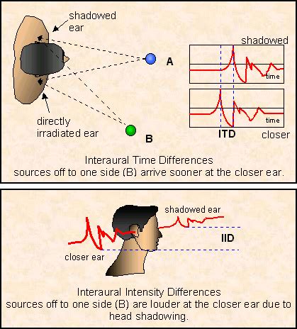 The Localization Cues Of Interaural Time And Intensity Differences