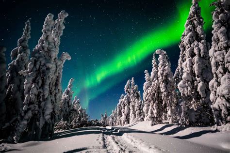 Rovaniemi Descubre La Aurora Boreal Tour Fotogr Fico Getyourguide