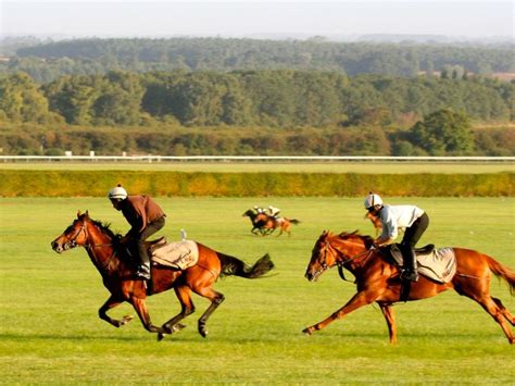 Discover Newmarket Visit Suffolk