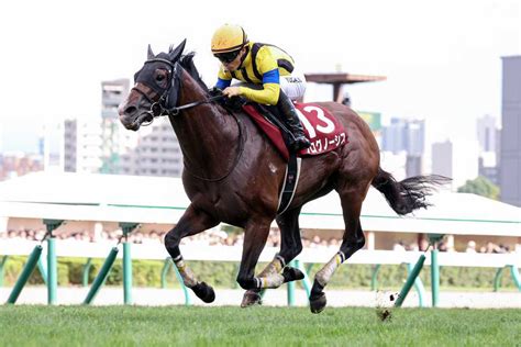 【香港国際競走】日本馬14頭が参戦 プログノーシスgi初制覇へ出陣｜競馬ニュース｜競馬予想のウマニティ