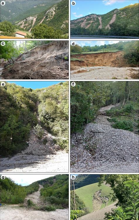 Examples of landslides observed in the area. a, b Debris and earth ...