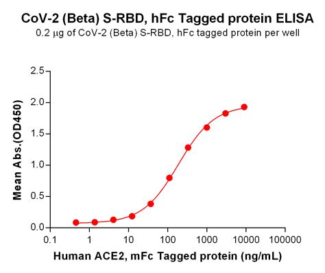 SARS CoV 2 Beta S Protein RBD HFc Tag DIMA Biotechnology