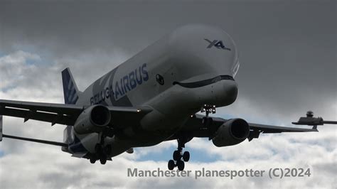 4K Beluga XL 4 Airbus A330 743L F GXLJ On BGA164J Landing And Taxing