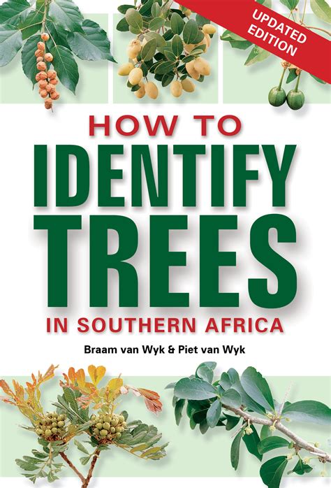 How to Identify Trees in South Africa (New Edition) | Penguin Random House South Africa