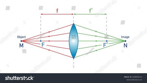 Convex Lens Schematic Diagram Optics Physics Stock Vector (Royalty Free ...