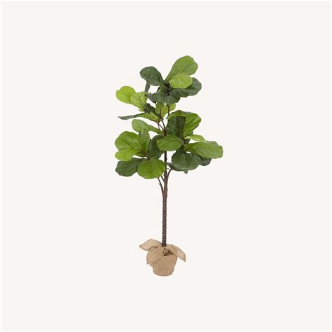 Pottery Barn 7ft Faux Potted Fiddle Leaf Fig Tree Aptdeco