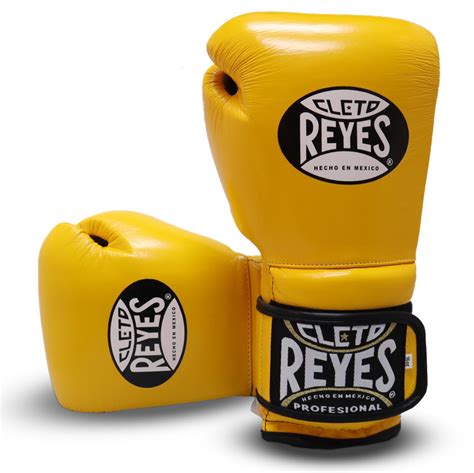 Cleto Reyes Training Boxing Gloves Lupon Gov Ph