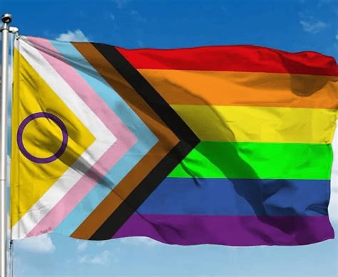 Bandeiras Do Movimento Lgbt Quais São E O Que Significam O Segredo