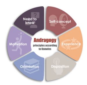 Andragogy: Adapting Learning for Adults