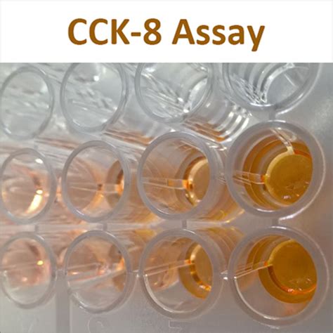 Cell Counting Kit 8 Assay Cck 8 Cet Scientific Services Pte Ltd