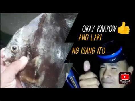 Part 40 Night Spearfishing Philippines Napakalabo At Lamig Ng Tubig