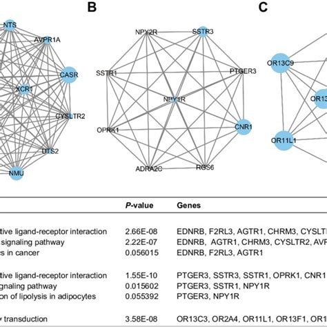 Top Three Modules From The Ppi Network Notes A Ppi Network Of