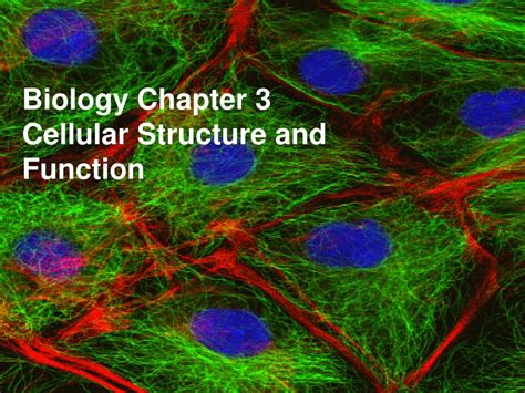 Ppt Biology Chapter Cellular Structure And Function Powerpoint