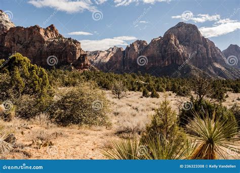 Mount Spry And Bridge Mountain In Zion Stock Photo Image Of