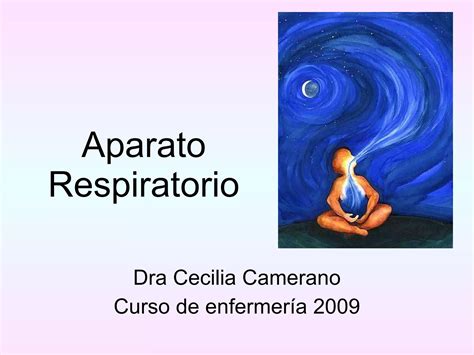 Aparato Respiratorio Ppt