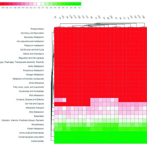 Heat Map Showing The Differential Abundance Of Functional Categories Download Scientific