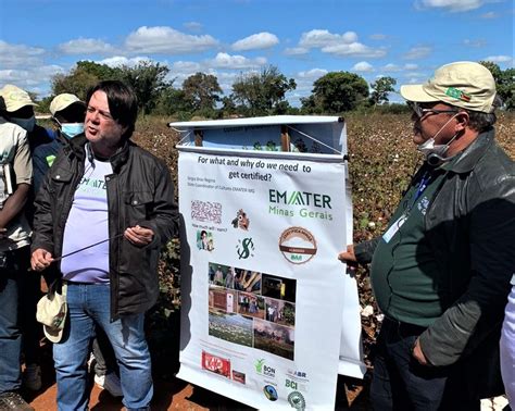 Emater Mg Apresenta Tecnologias De Produ O De Algod O No Zimb Bue