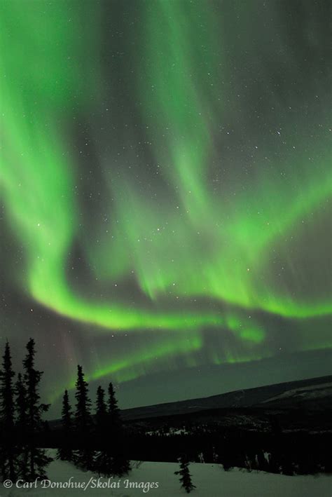 Alaska Aurora borealis photo