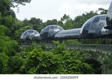 585 Gorilla Building Images, Stock Photos & Vectors | Shutterstock