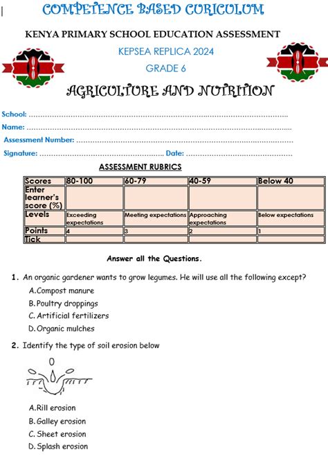 Targeter Wings 007 Grade 6 2024 Kpsea Questions And Answers