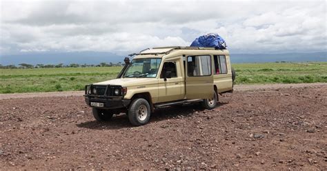 Tage Serengeti Magische Safari Getyourguide