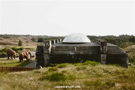 tirpitz museum worth visiting laidback trip